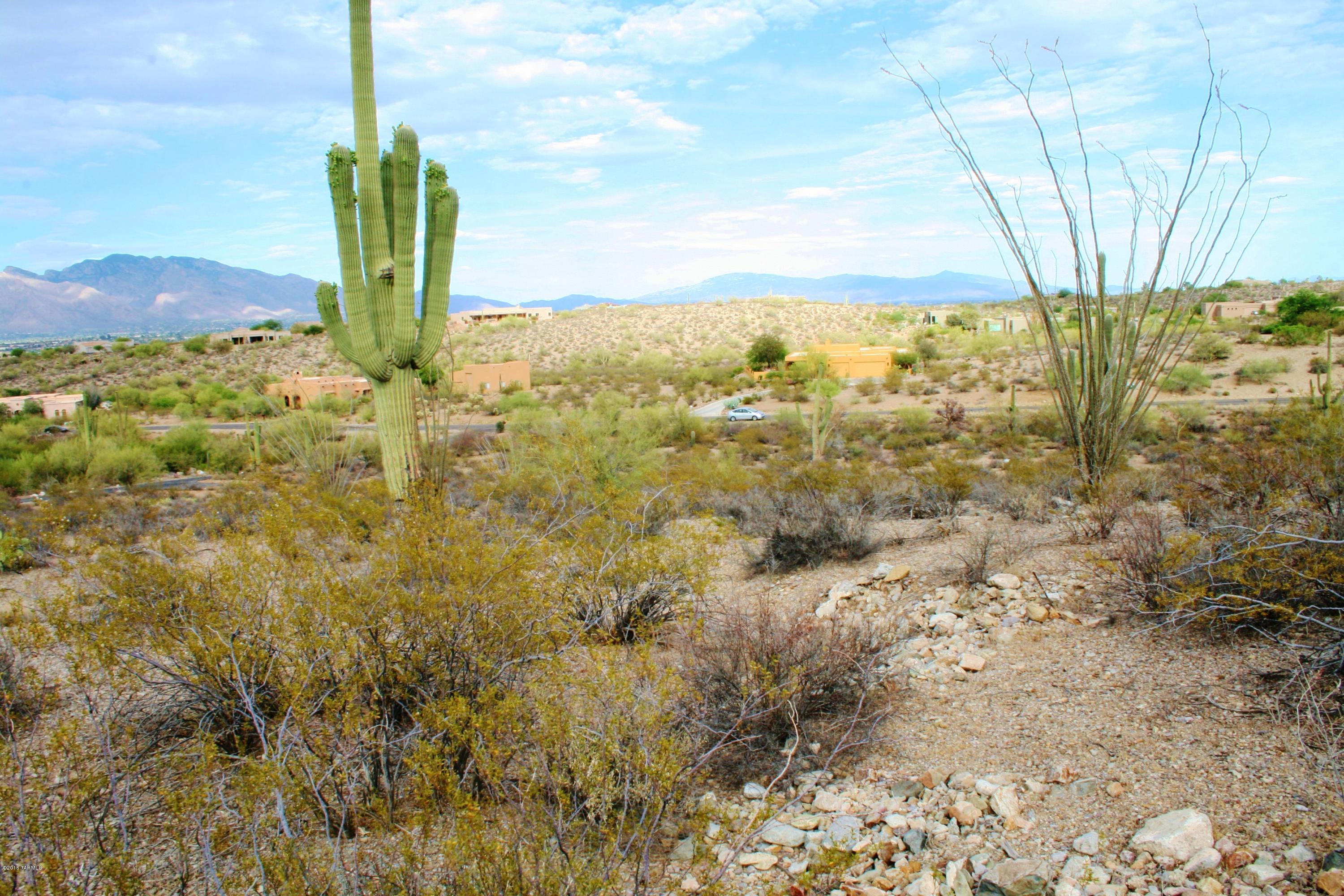 6075 North Abington Road, Unit LOT 4 Tucson, AZ 85743 - Photo 17 of 31