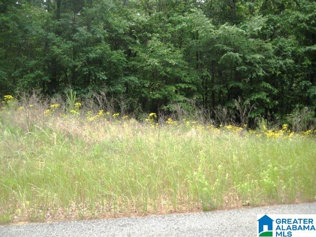0 Sulphur Springs Road, Unit 10 ACRES Lincoln, AL 35096 - Photo 5 of 32