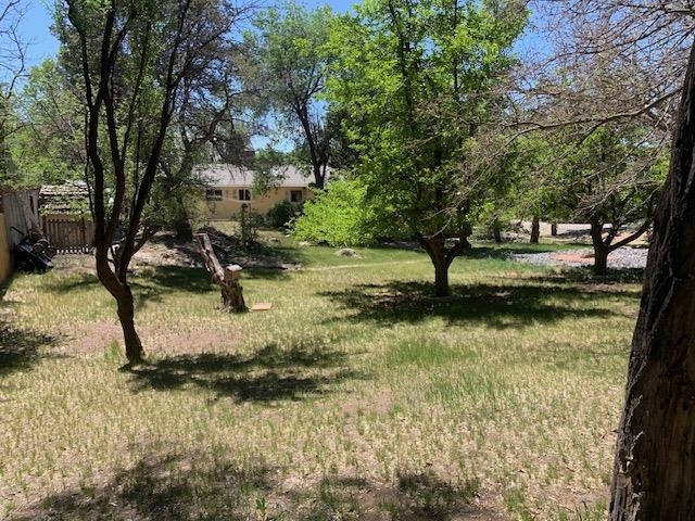 570 Southwest 2nd Court Cedaredge, CO 81413 - Photo 30 of 32 a view of yard