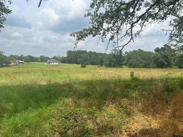 a view of a lake with a mountain in the background