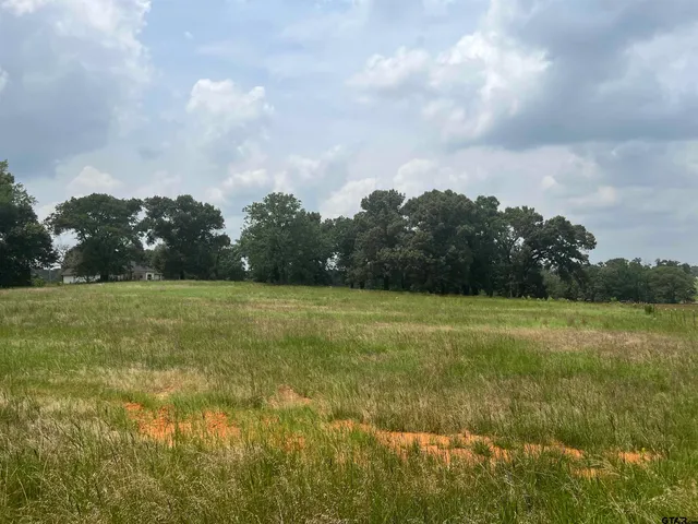 a view of a field of grass and trees