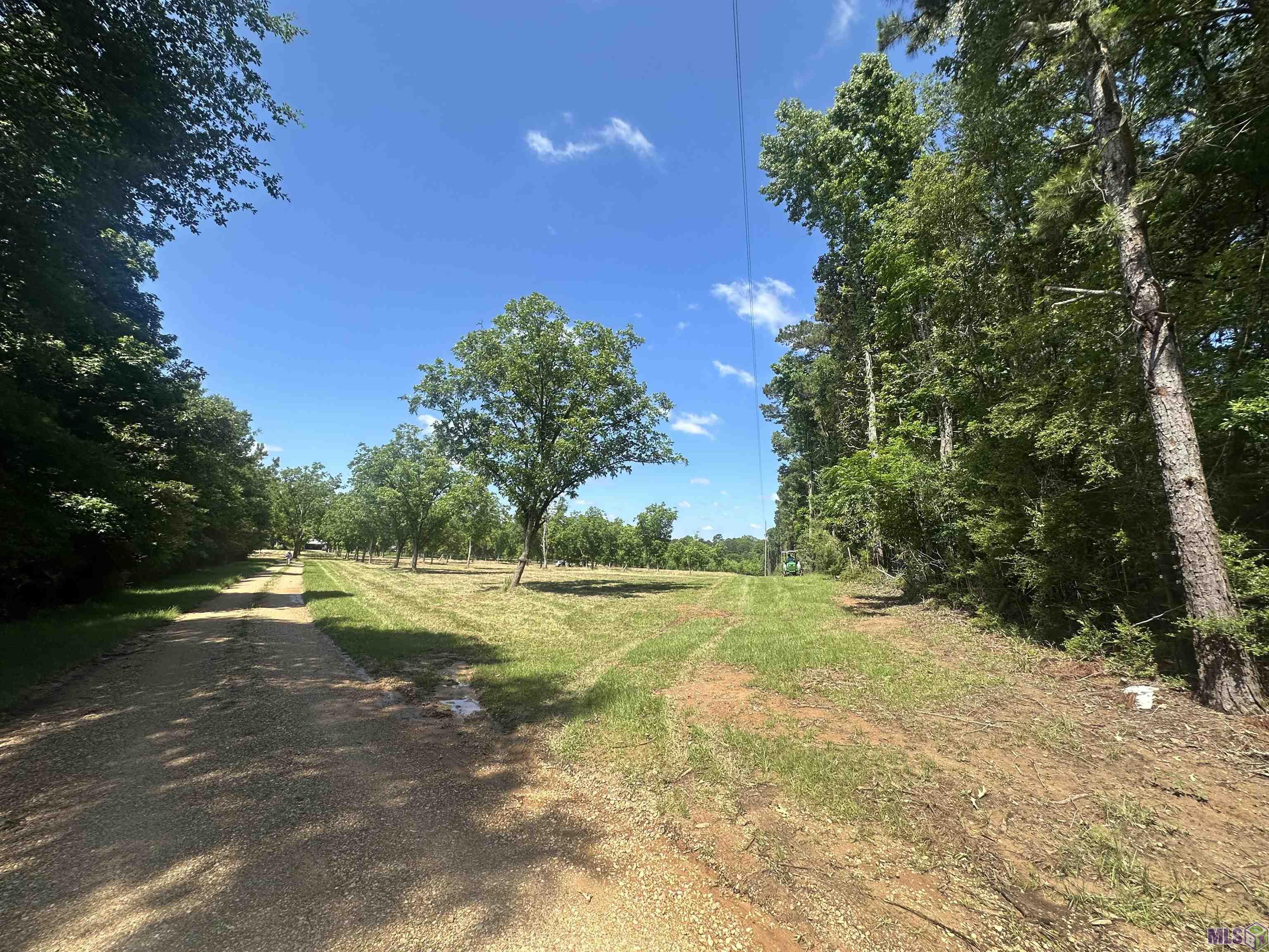 2725 Holly Ridge Road Jackson, LA 70748 - Photo 4 of 8