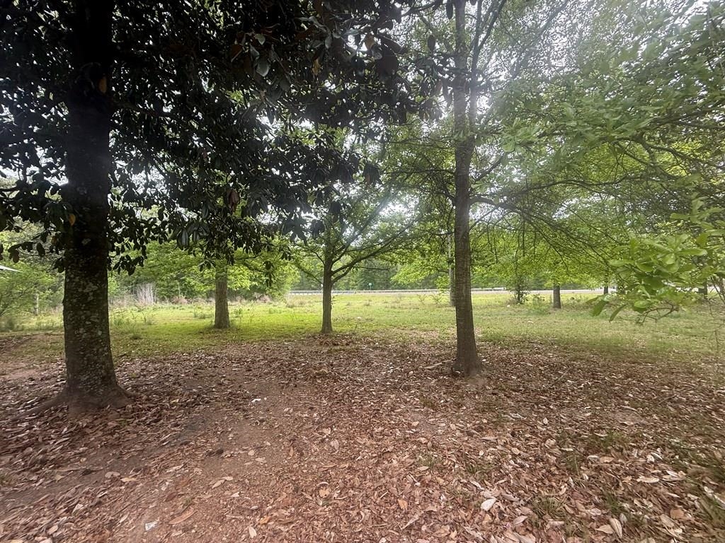 7273 County Line Road Silsbee, TX 77656 - Photo 32 of 37