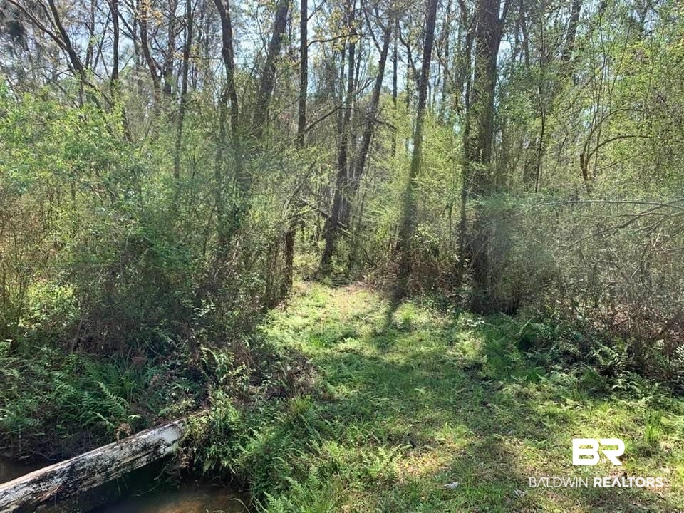 26264 Feely Road Elberta, AL 36530 - Photo 9 of 30 Gallery Image 9
