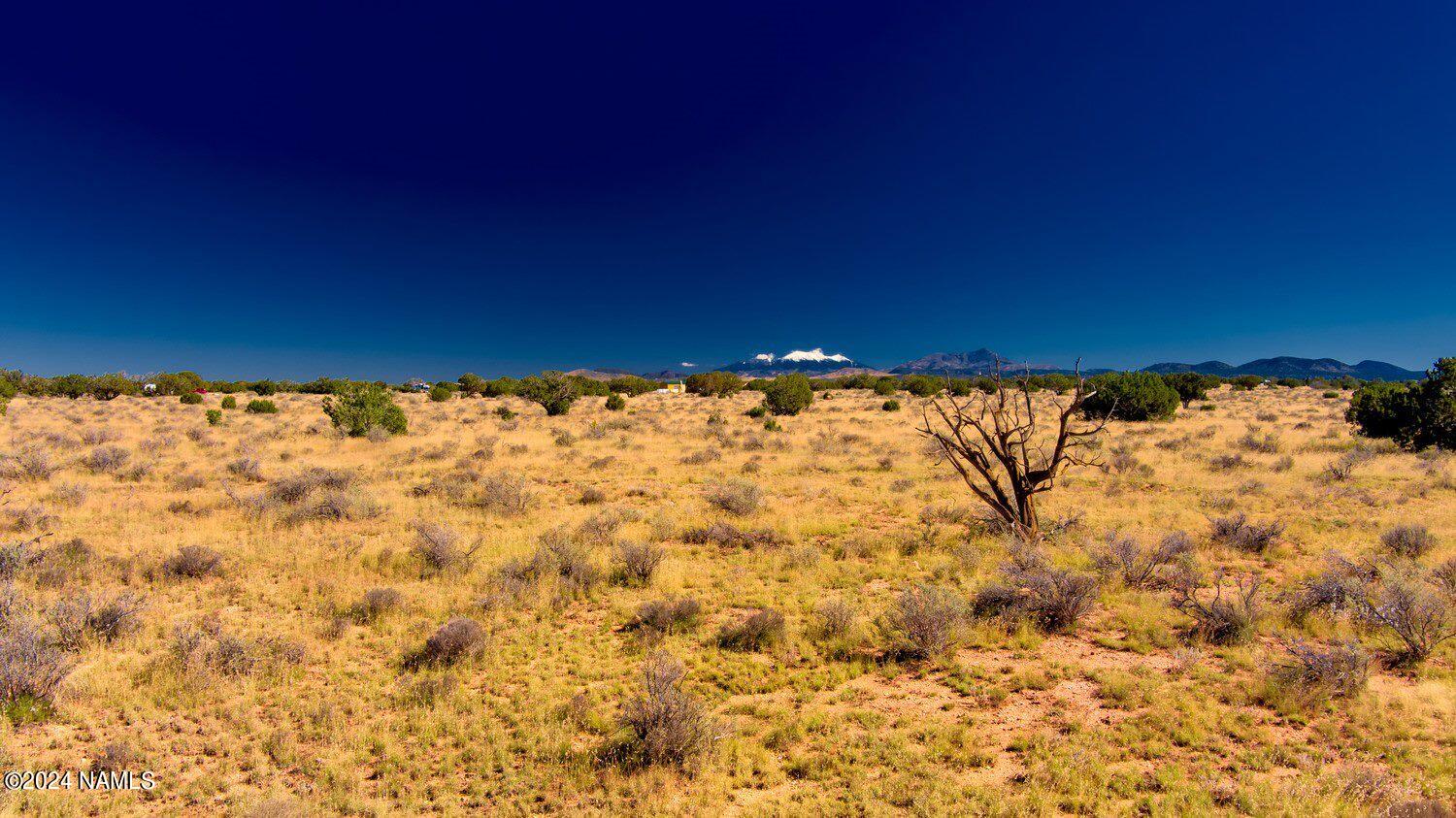 3196 Laurence Drive Williams, AZ 86046 - Photo 2 of 6 3160 Laurence Dr