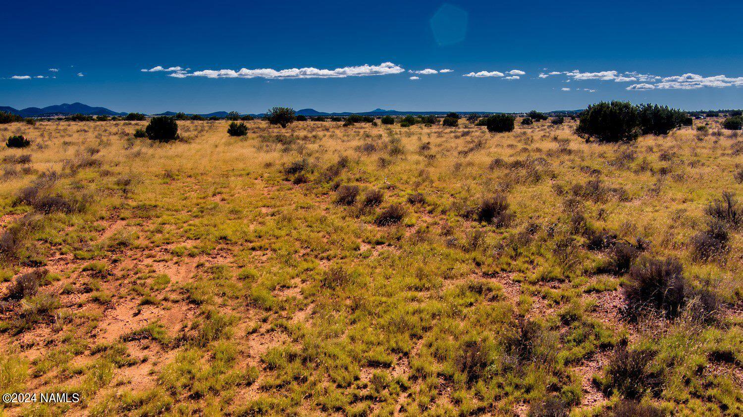 3196 Laurence Drive Williams, AZ 86046 - Photo 4 of 6 3160 Laurence Dr Photo 4