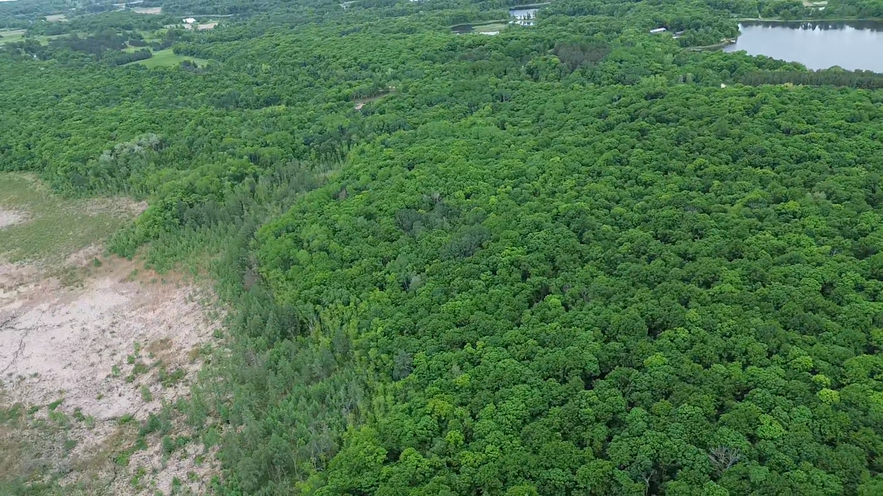 Tbd 380th Street Dent, MN 56528 - Photo 10 of 33