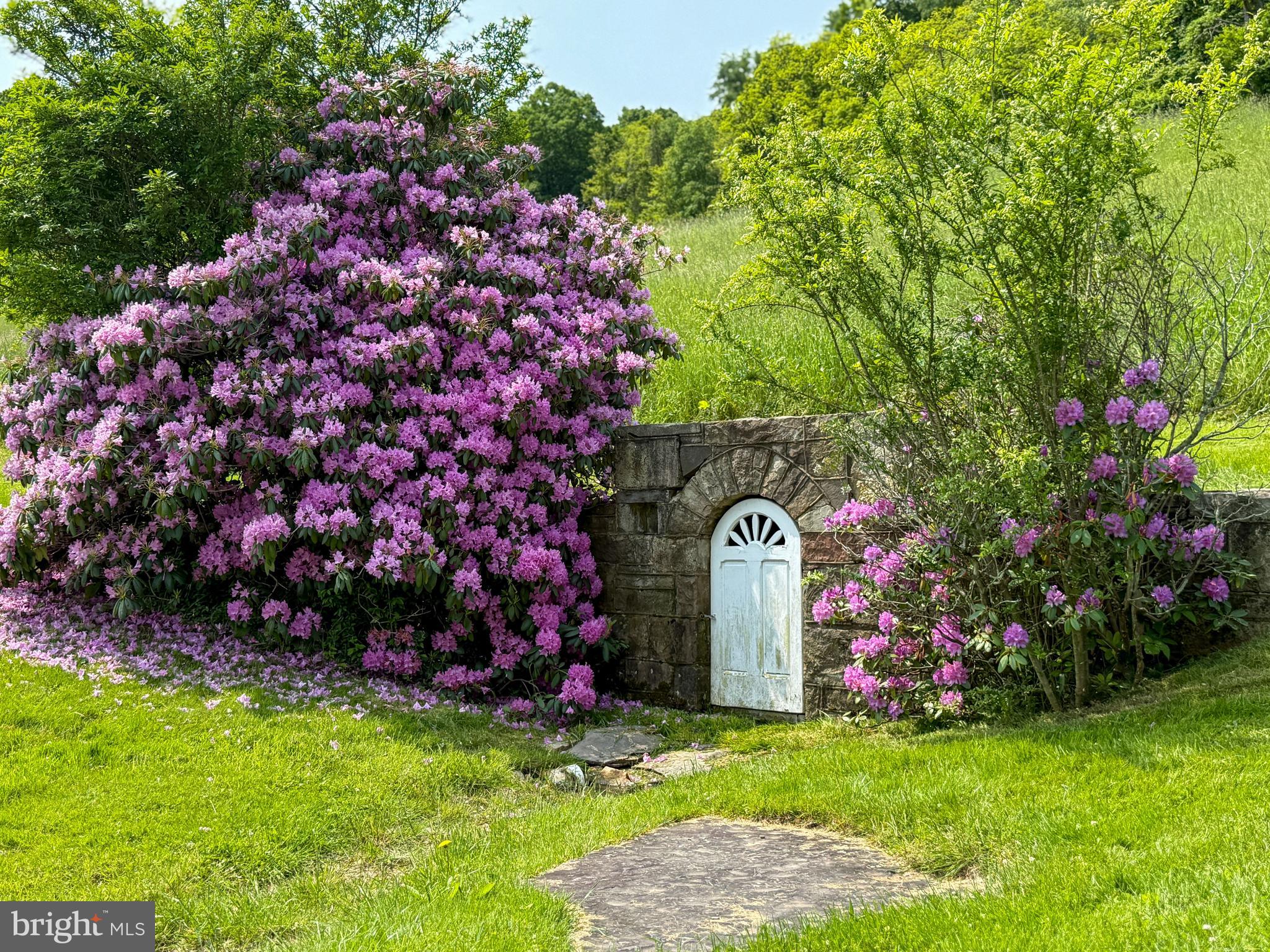 930 Osman Road Alum Bank, PA 15521 - Photo 46 of 63