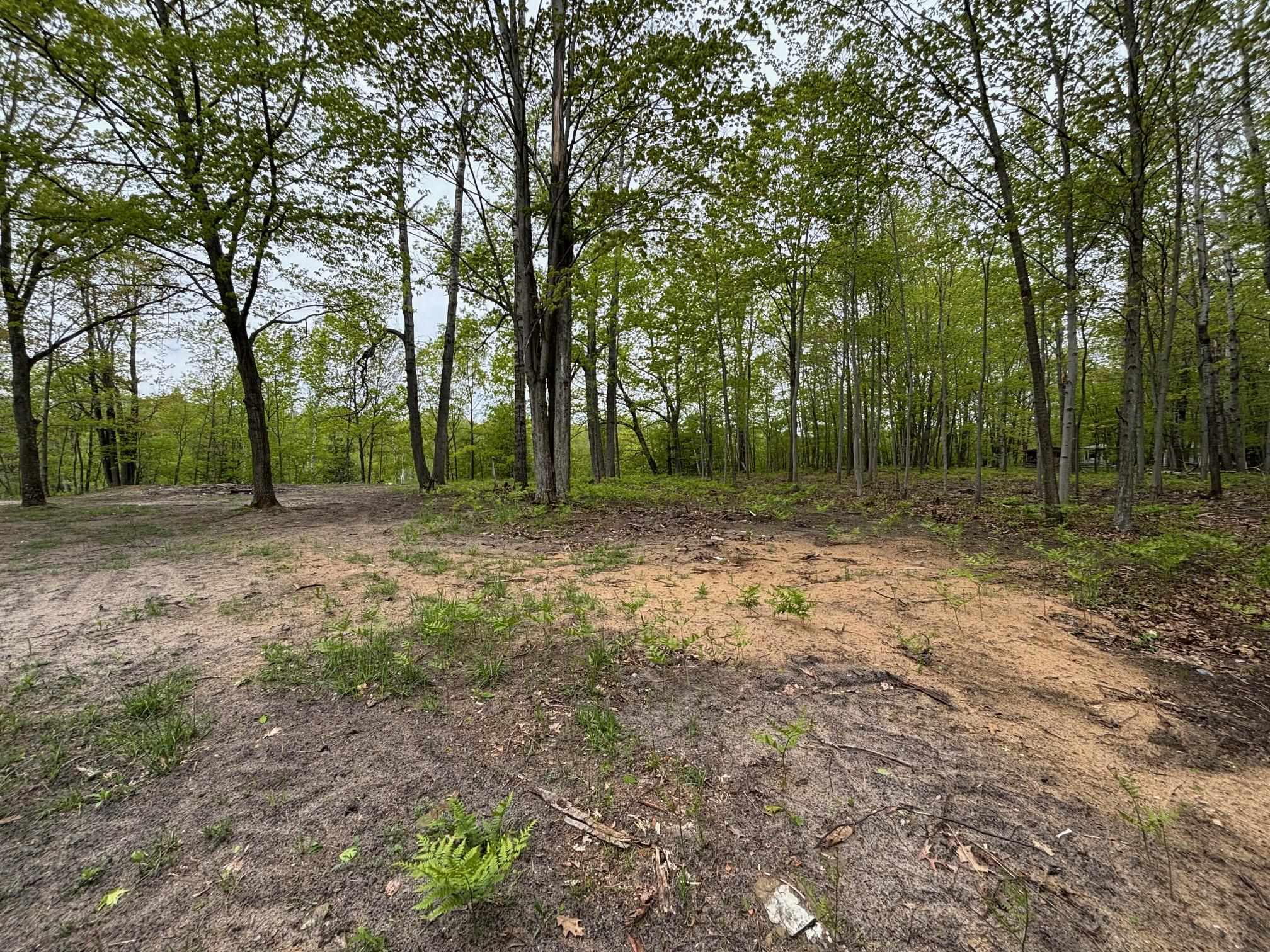 1240 Birch Ridge Road Gladwin, MI 48624 - Photo 5 of 41