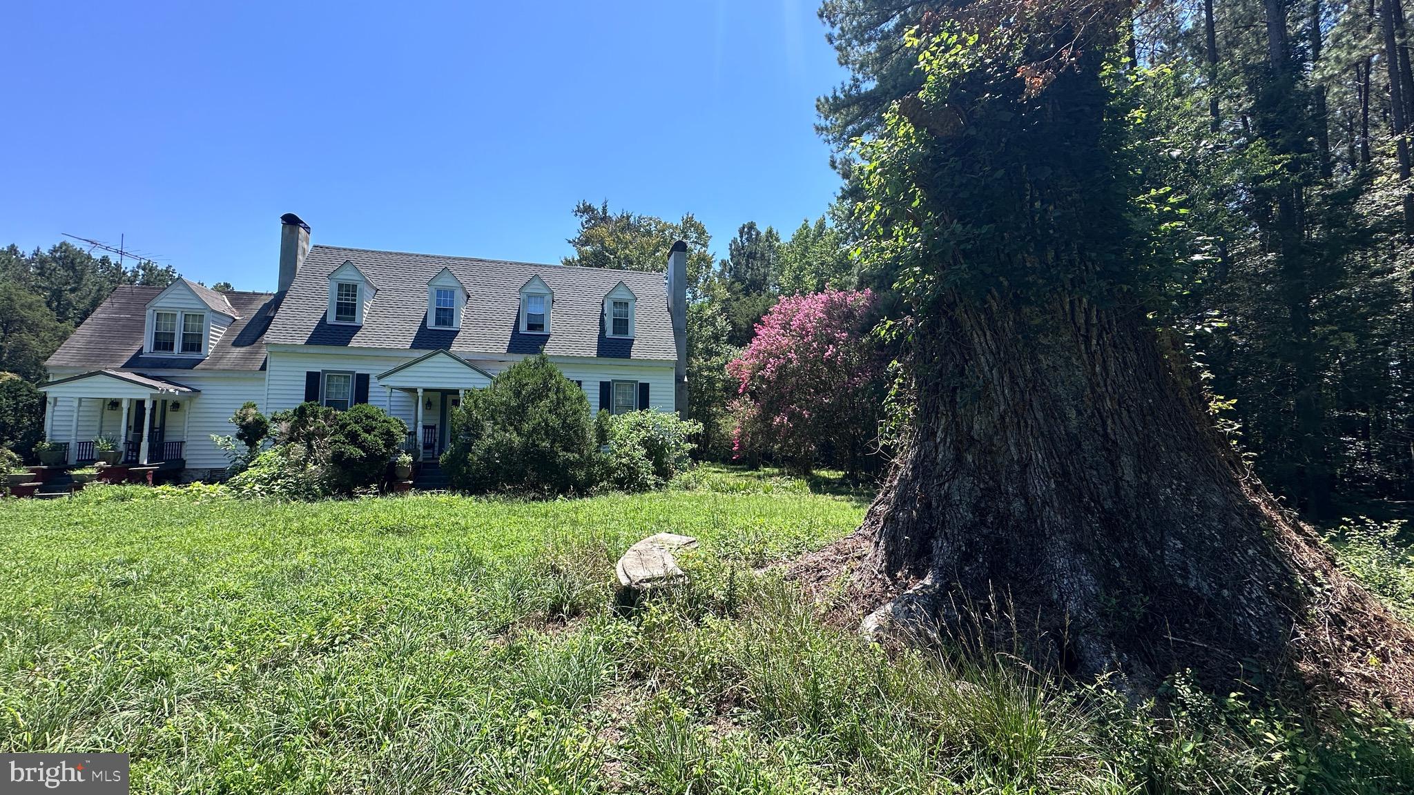 2788 Great Oak Road Warfield, VA 23889 - Photo 12 of 68
