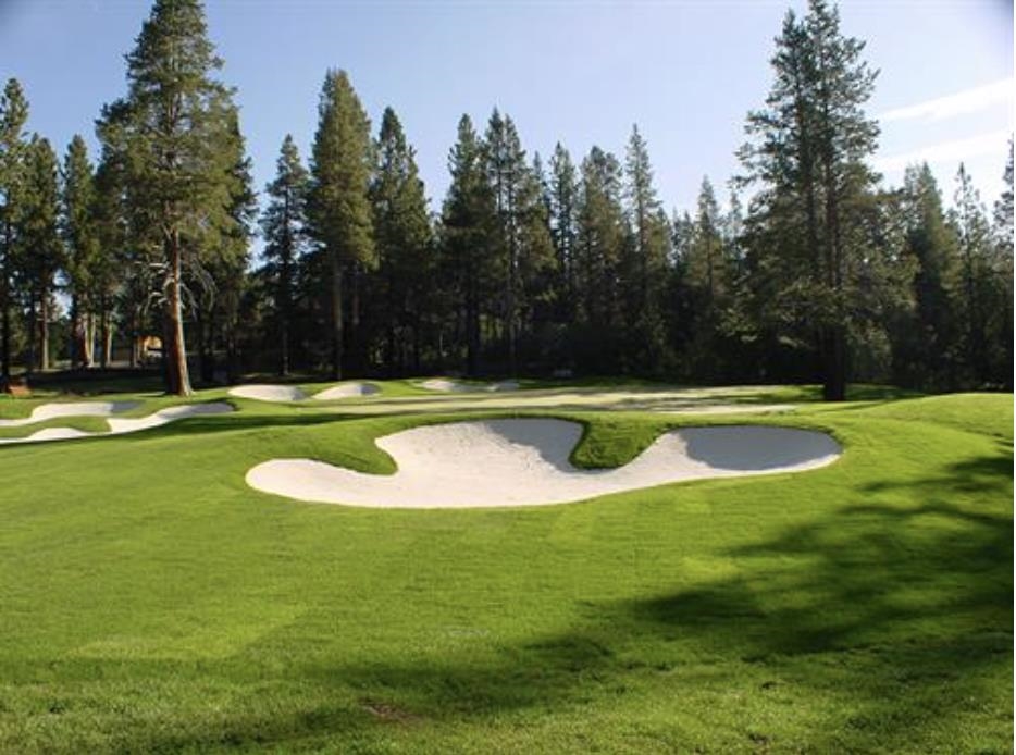 123 Dave Dysart Truckee, CA 96161 - Photo 27 of 28 a view of a swimming pool with a yard