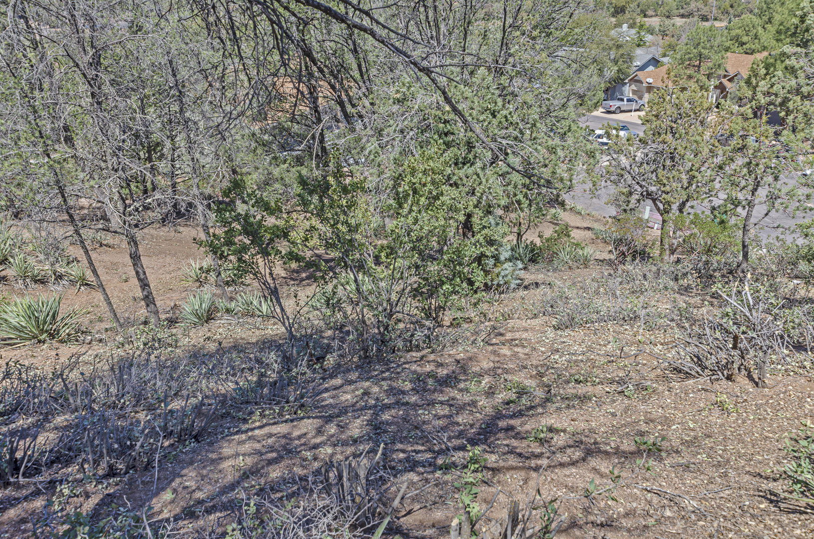 802 Zane Grey Circle, Unit 76 Payson, AZ 85541 - Photo 11 of 19 IMG_10