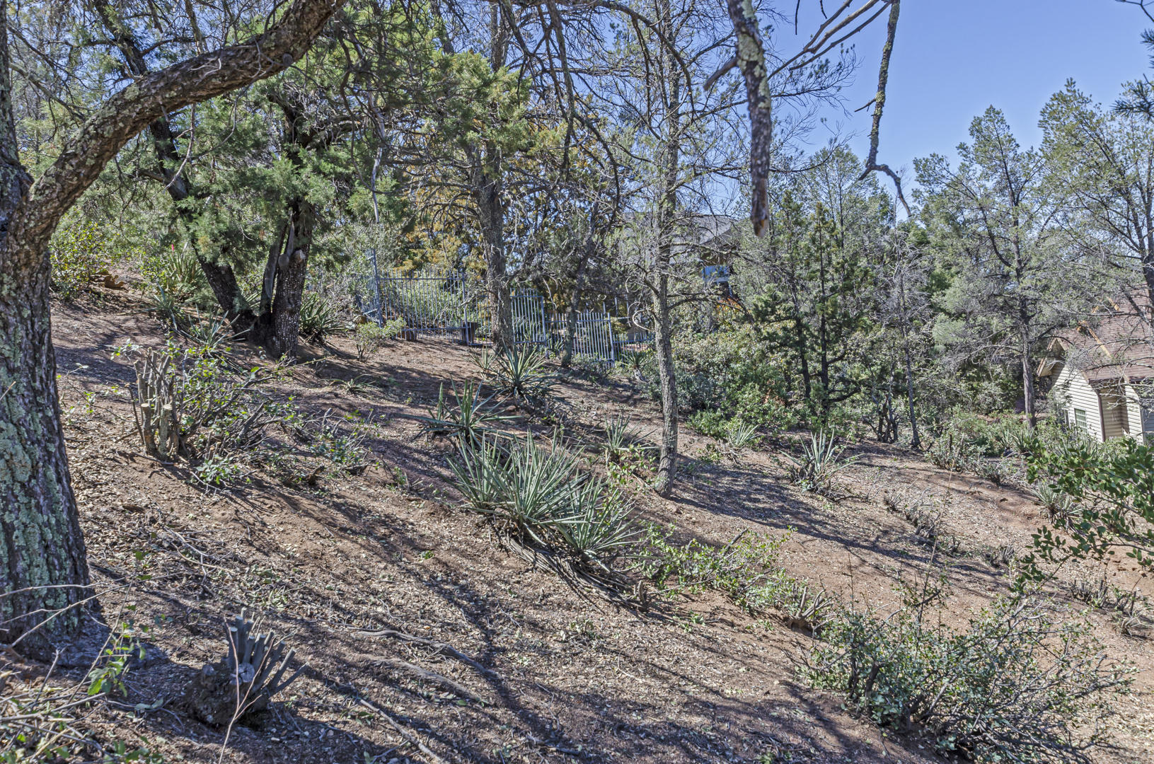 802 Zane Grey Circle, Unit 76 Payson, AZ 85541 - Photo 12 of 19 IMG_11