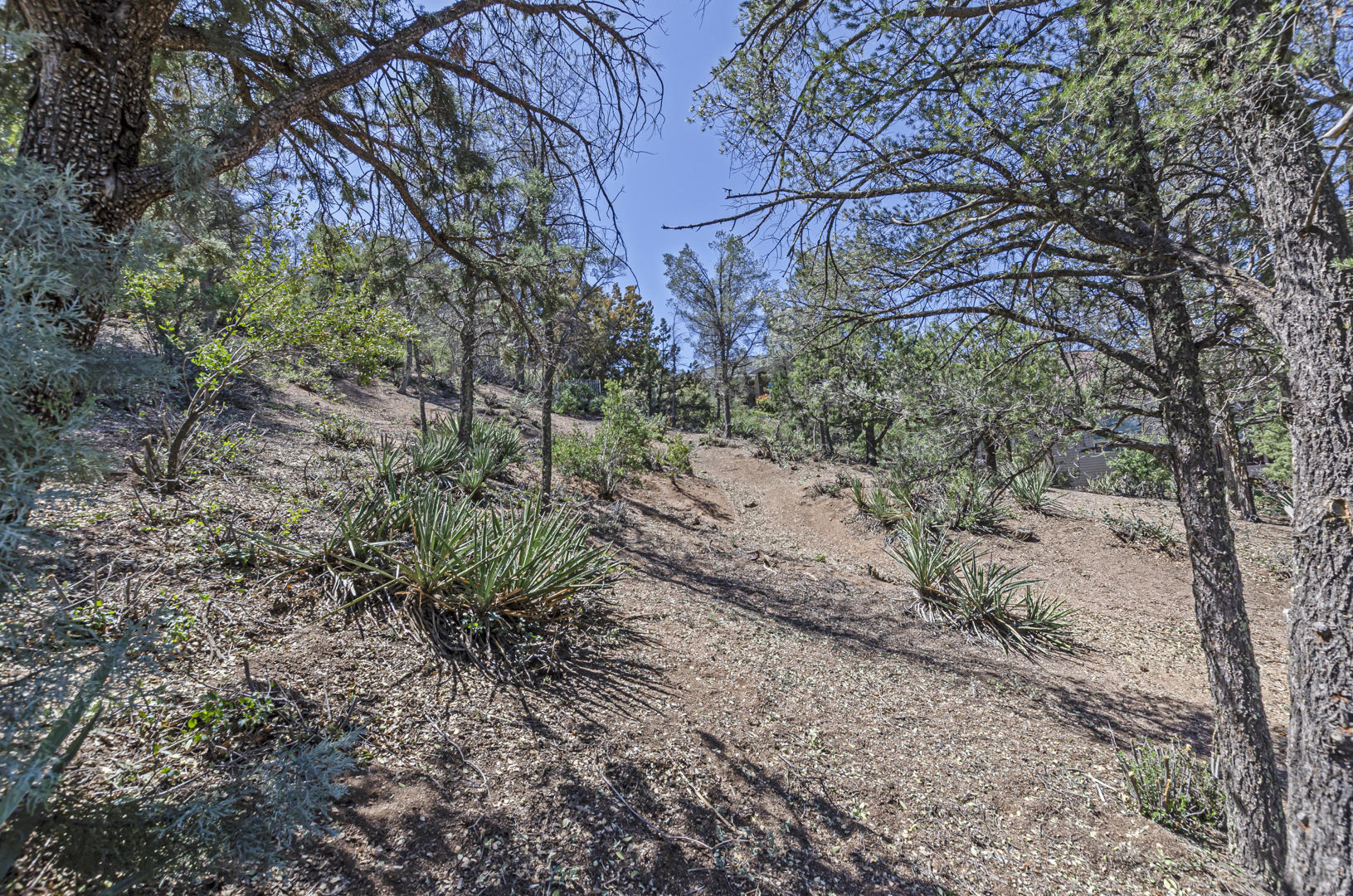 802 Zane Grey Circle, Unit 76 Payson, AZ 85541 - Photo 14 of 19 IMG_13