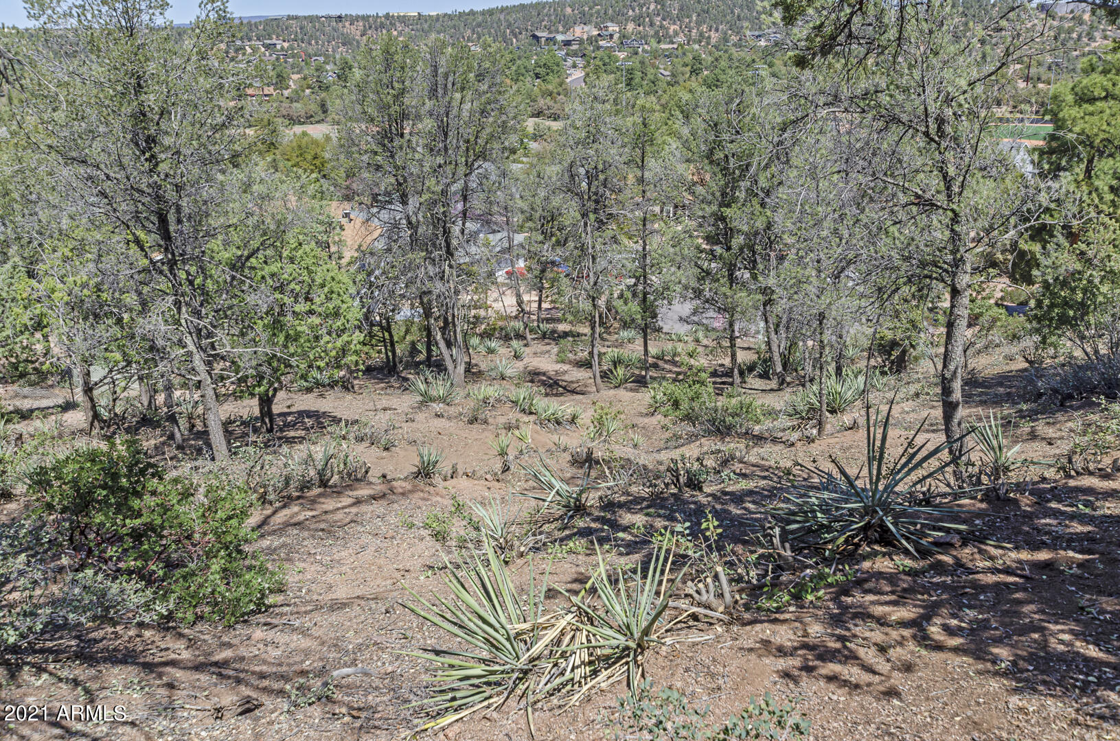 802 Zane Grey Circle, Unit 76 Payson, AZ 85541 - Photo 4 of 19 IMG_8