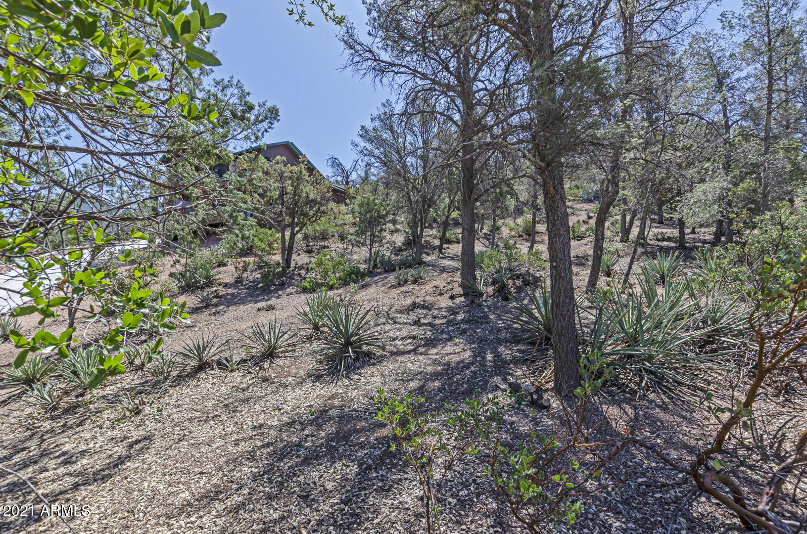 802 Zane Grey Circle, Unit 76 Payson, AZ 85541 - Photo 5 of 19 IMG_2