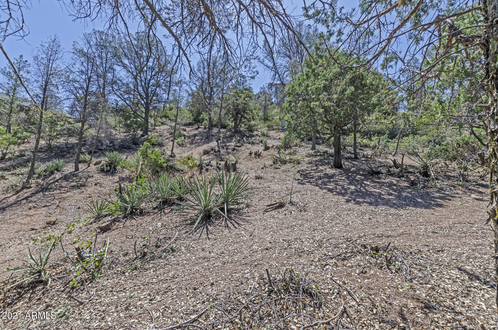 802 Zane Grey Circle, Unit 76 Payson, AZ 85541 - Photo 6 of 19 IMG_3
