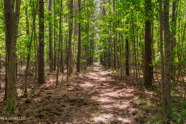 $1,210,000 | Spring Road, Flora, MS 39071