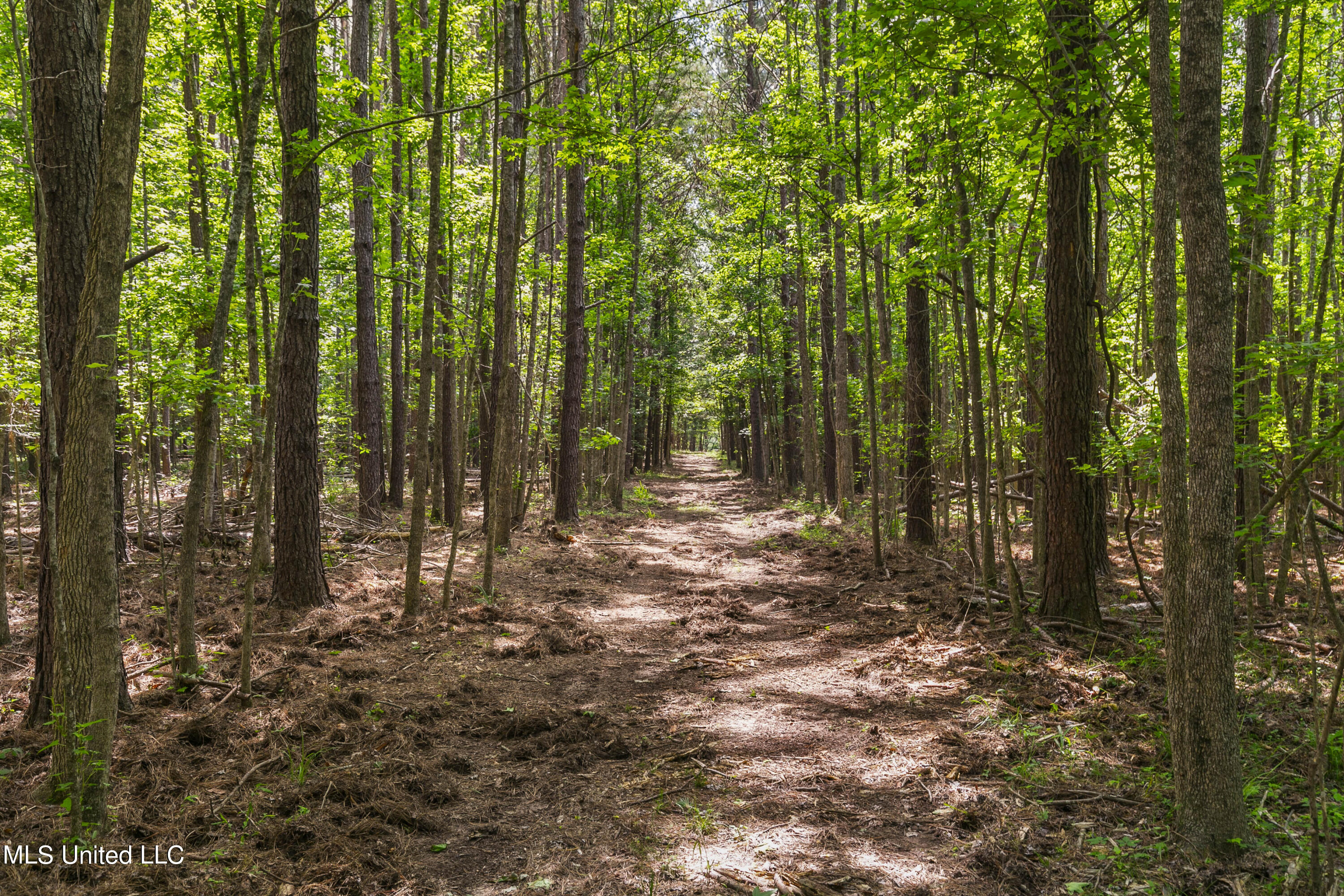 Spring Road Flora, MS 39071 - Photo 11 of 44 Spring Rd-10