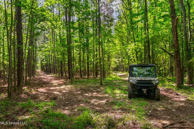 $1,210,000 | Spring Road, Flora, MS 39071