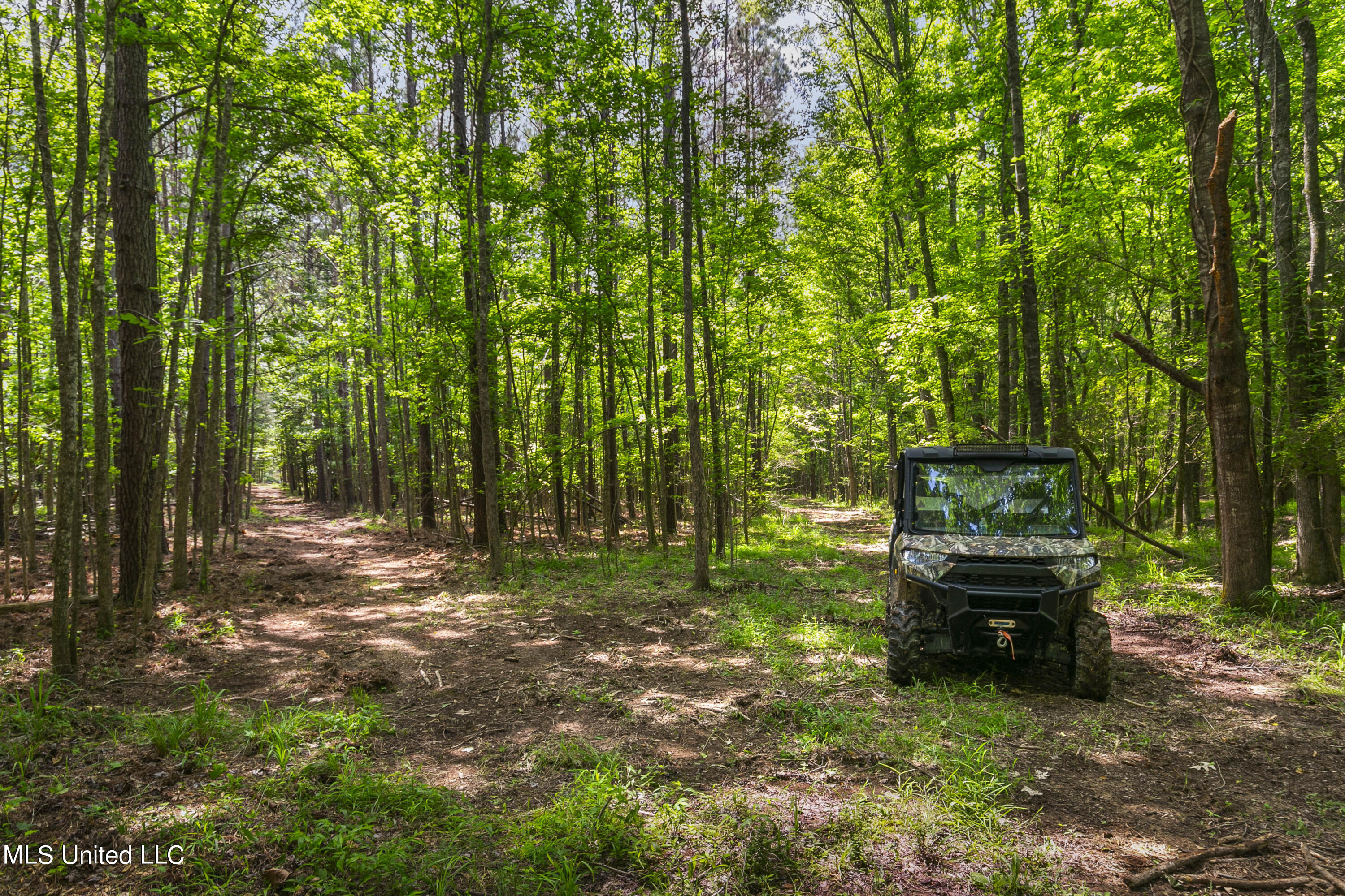 Spring Road Flora, MS 39071 - Photo 12 of 44 Spring Rd-11