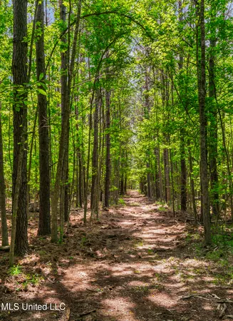 $1,210,000 | Spring Road, Flora, MS 39071