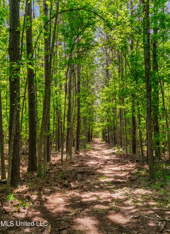 $1,210,000 | Spring Road, Flora, MS 39071