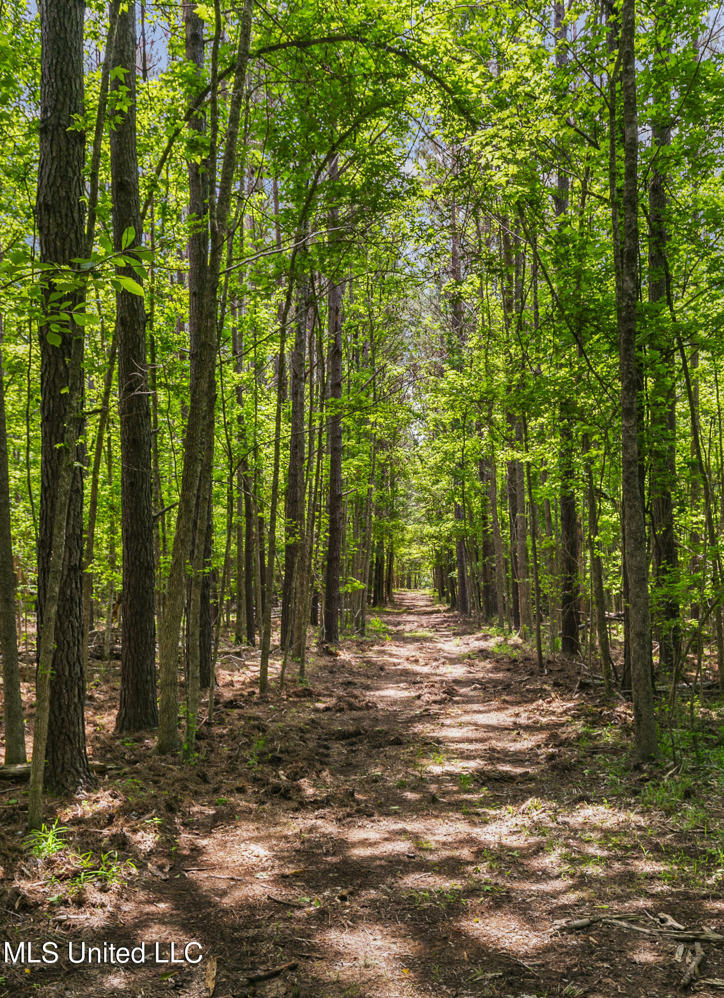 Spring Road Flora, MS 39071 - Photo 13 of 44 Spring Rd-12