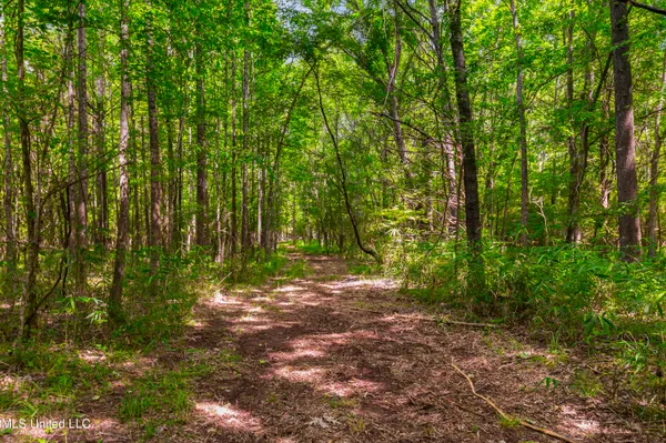 $1,210,000 | Spring Road, Flora, MS 39071