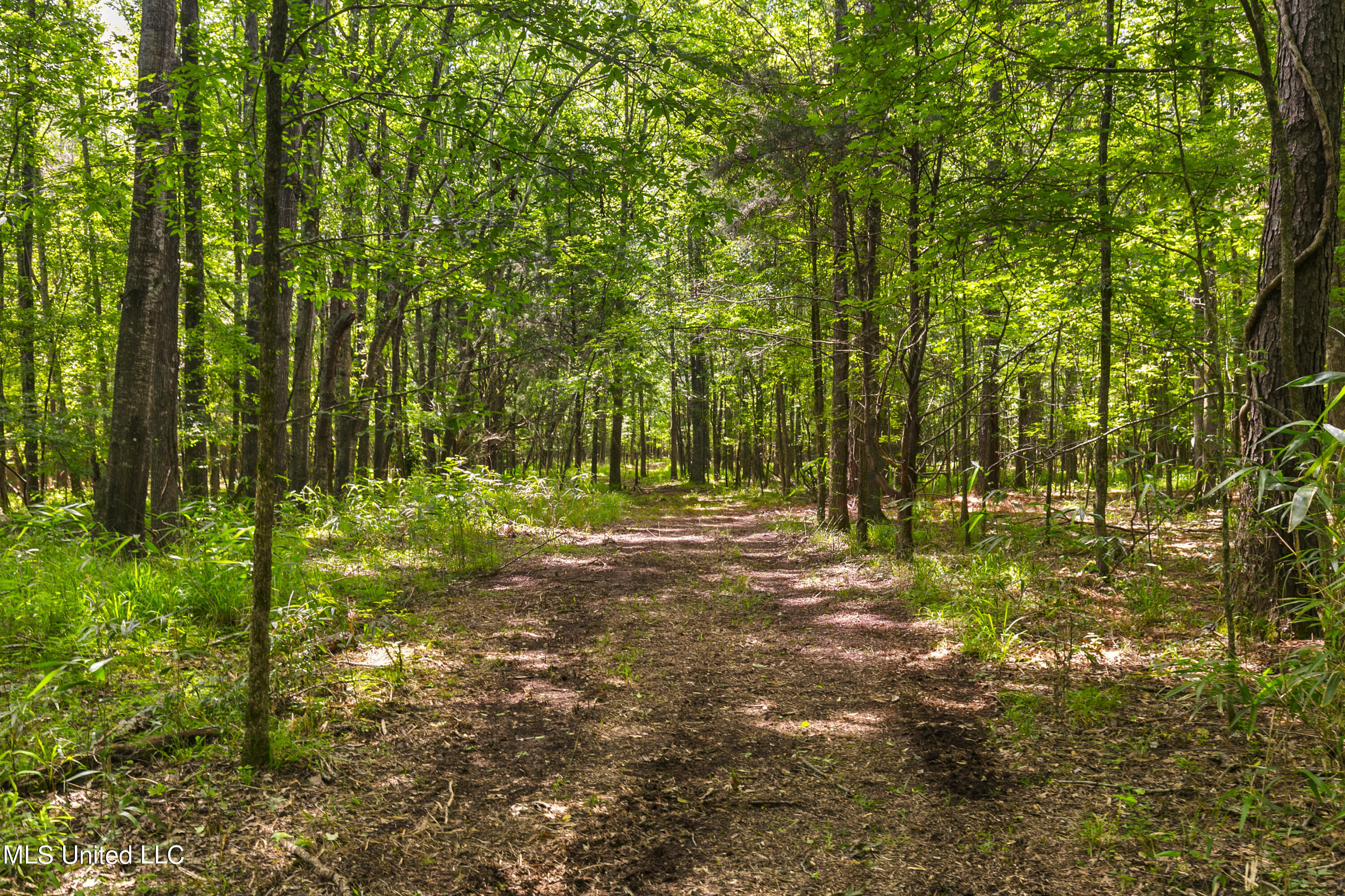 Spring Road Flora, MS 39071 - Photo 15 of 44 Spring Rd-14