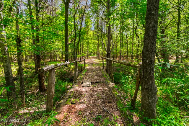 $1,210,000 | Spring Road, Flora, MS 39071