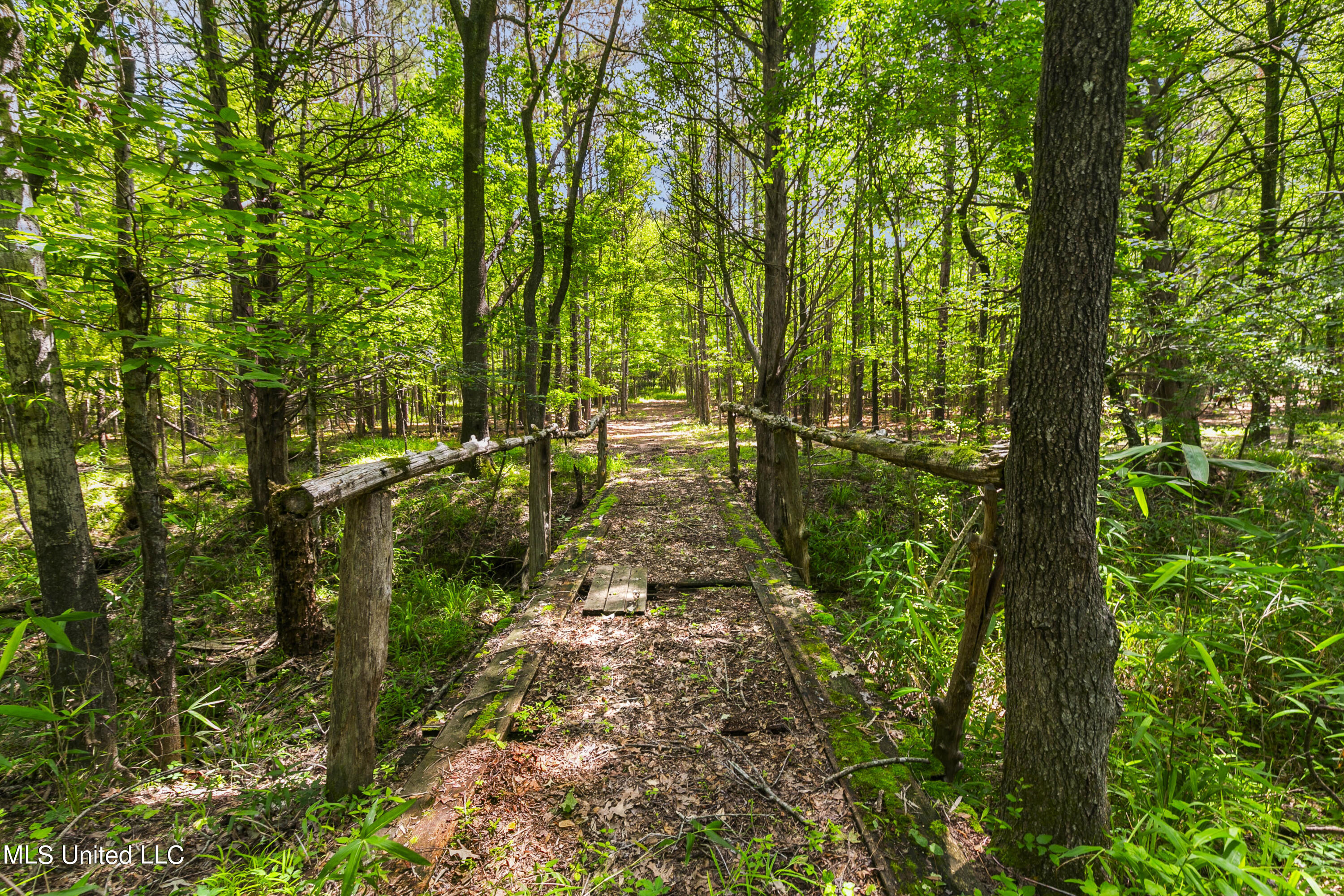Spring Road Flora, MS 39071 - Photo 16 of 44 Spring Rd-15