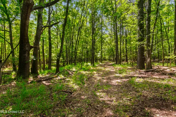 $1,210,000 | Spring Road, Flora, MS 39071