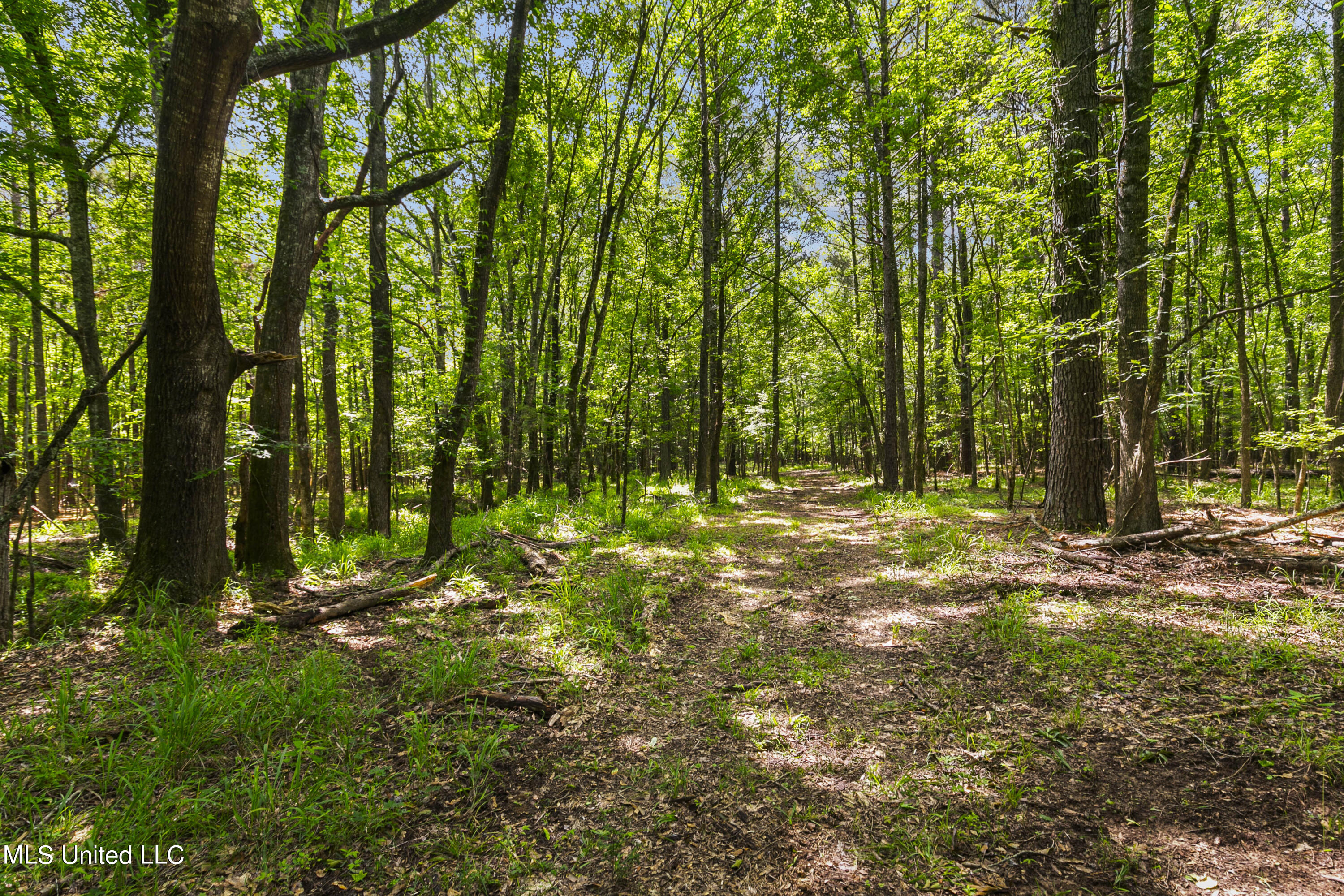 Spring Road Flora, MS 39071 - Photo 18 of 44 Spring Rd-17
