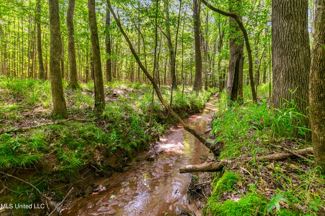 $1,210,000 | Spring Road, Flora, MS 39071