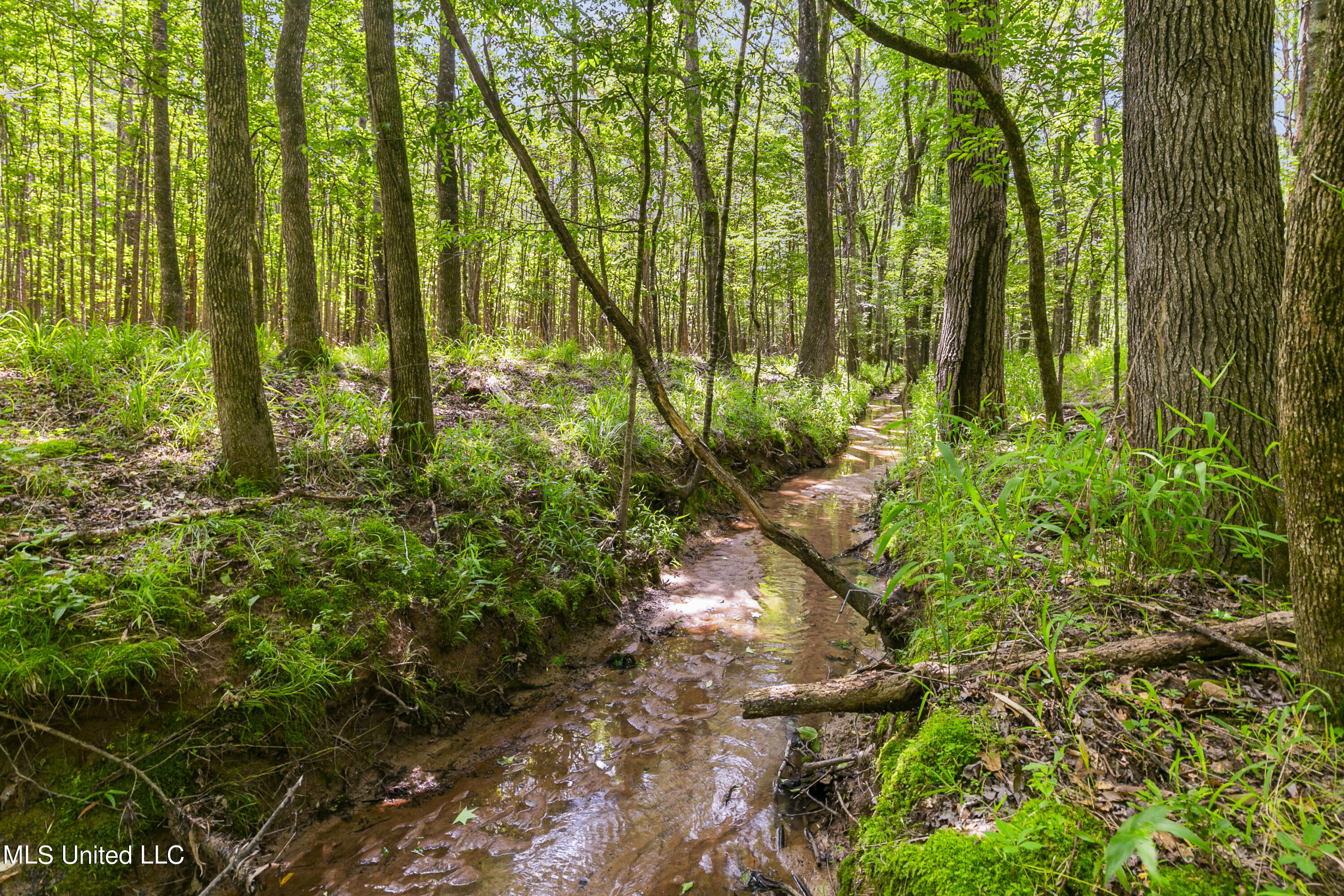 Spring Road Flora, MS 39071 - Photo 19 of 44 Spring Rd-18