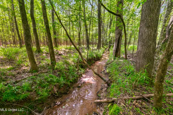 $1,210,000 | Spring Road, Flora, MS 39071