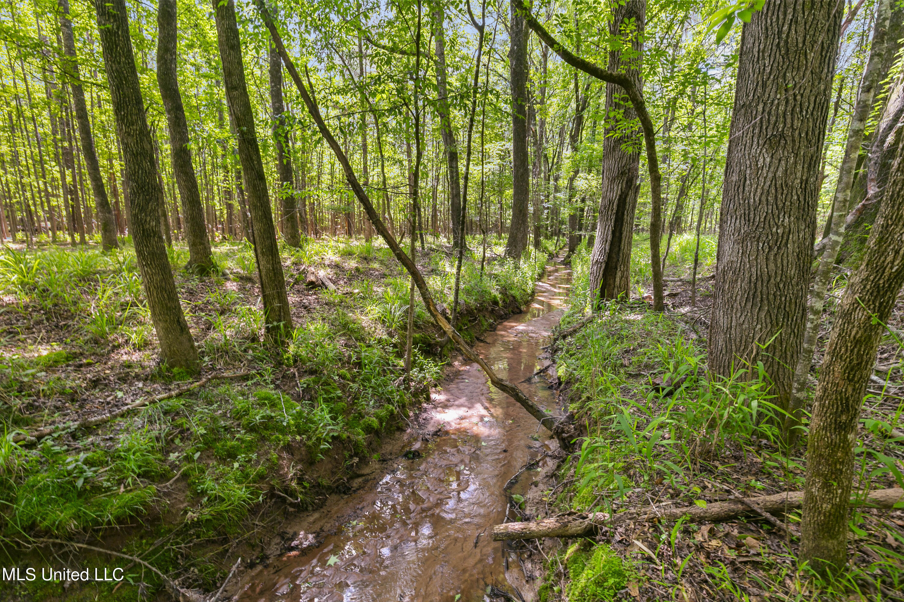 Spring Road Flora, MS 39071 - Photo 20 of 44 Spring Rd-19
