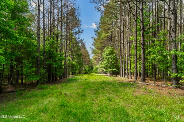 $1,210,000 | Spring Road, Flora, MS 39071