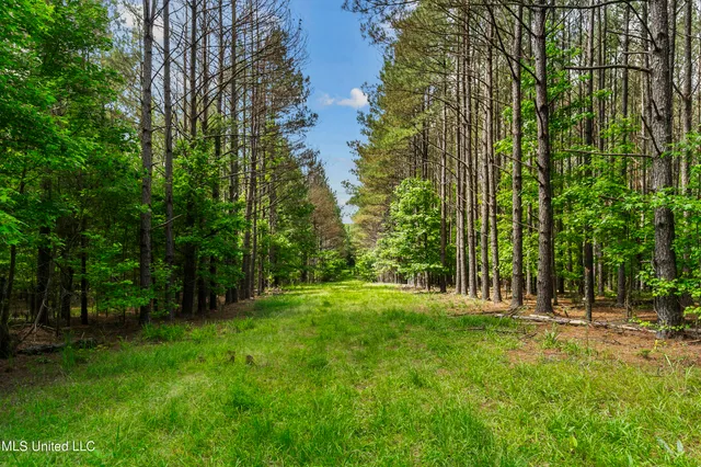 $1,210,000 | Spring Road, Flora, MS 39071