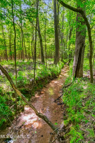 $1,210,000 | Spring Road, Flora, MS 39071