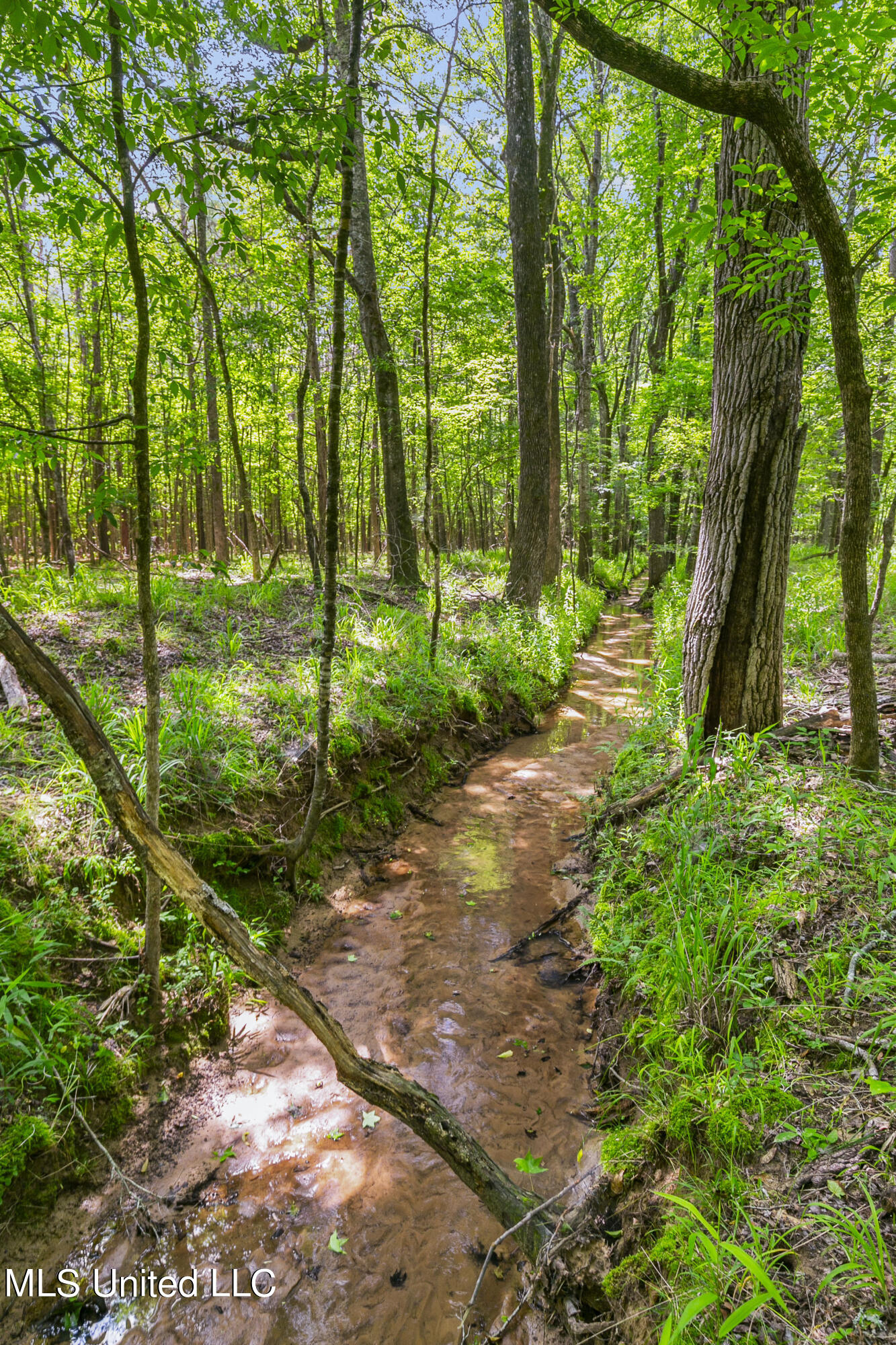 Spring Road Flora, MS 39071 - Photo 21 of 44 Spring Rd-20