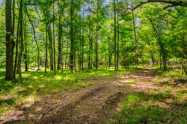 $1,210,000 | Spring Road, Flora, MS 39071