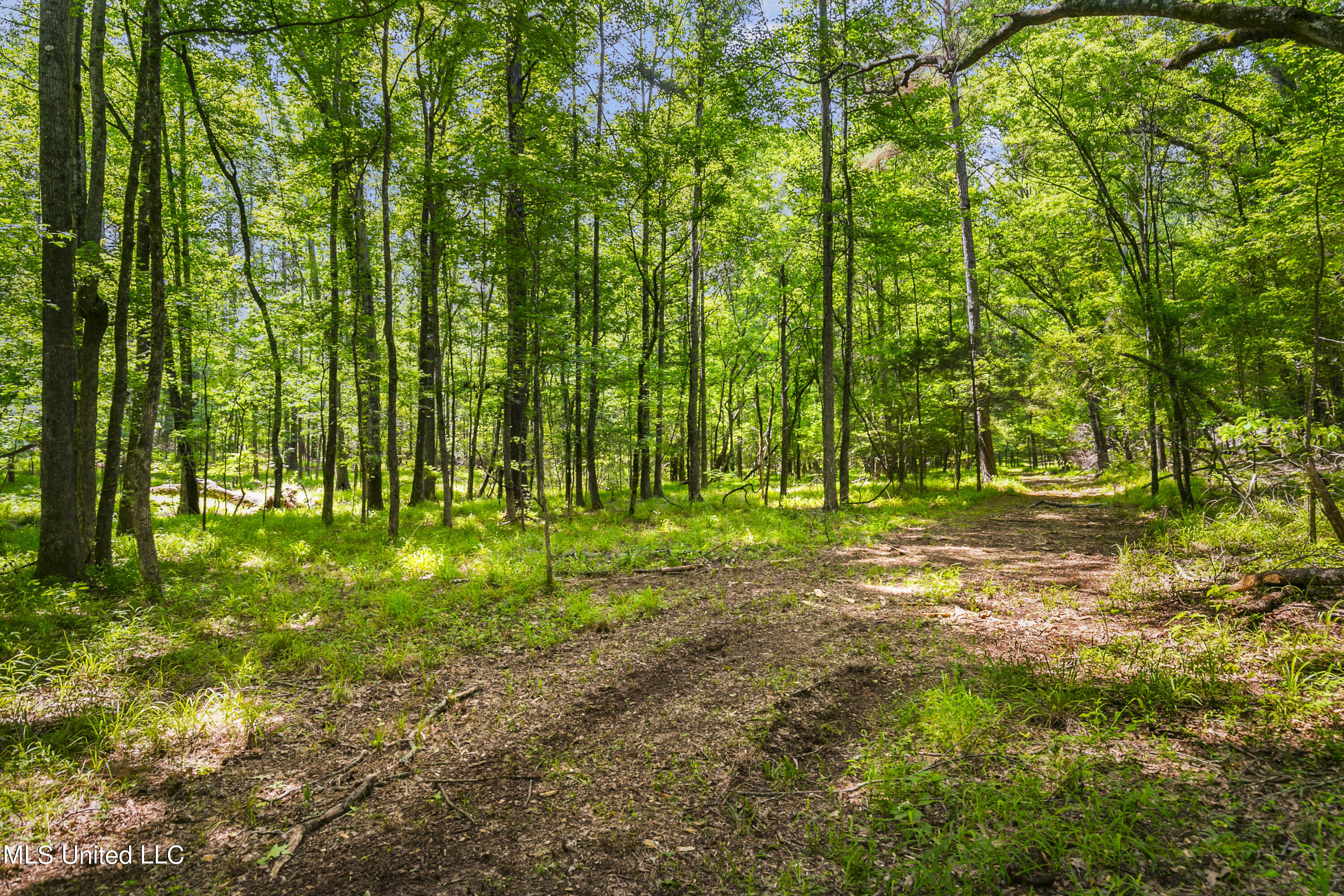 Spring Road Flora, MS 39071 - Photo 22 of 44 Spring Rd-21
