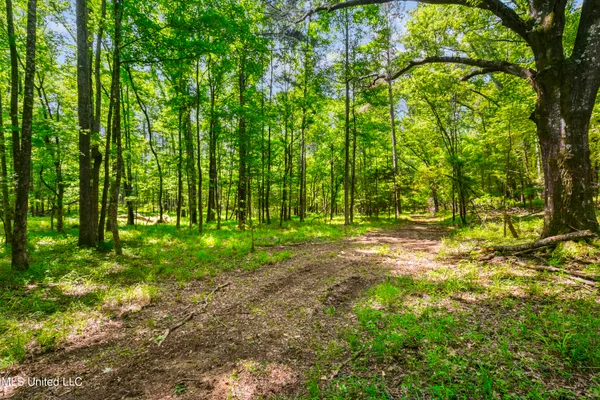 $1,210,000 | Spring Road, Flora, MS 39071