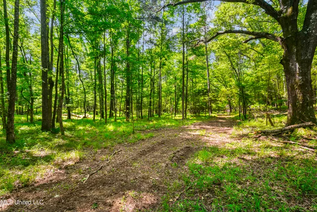 $1,210,000 | Spring Road, Flora, MS 39071