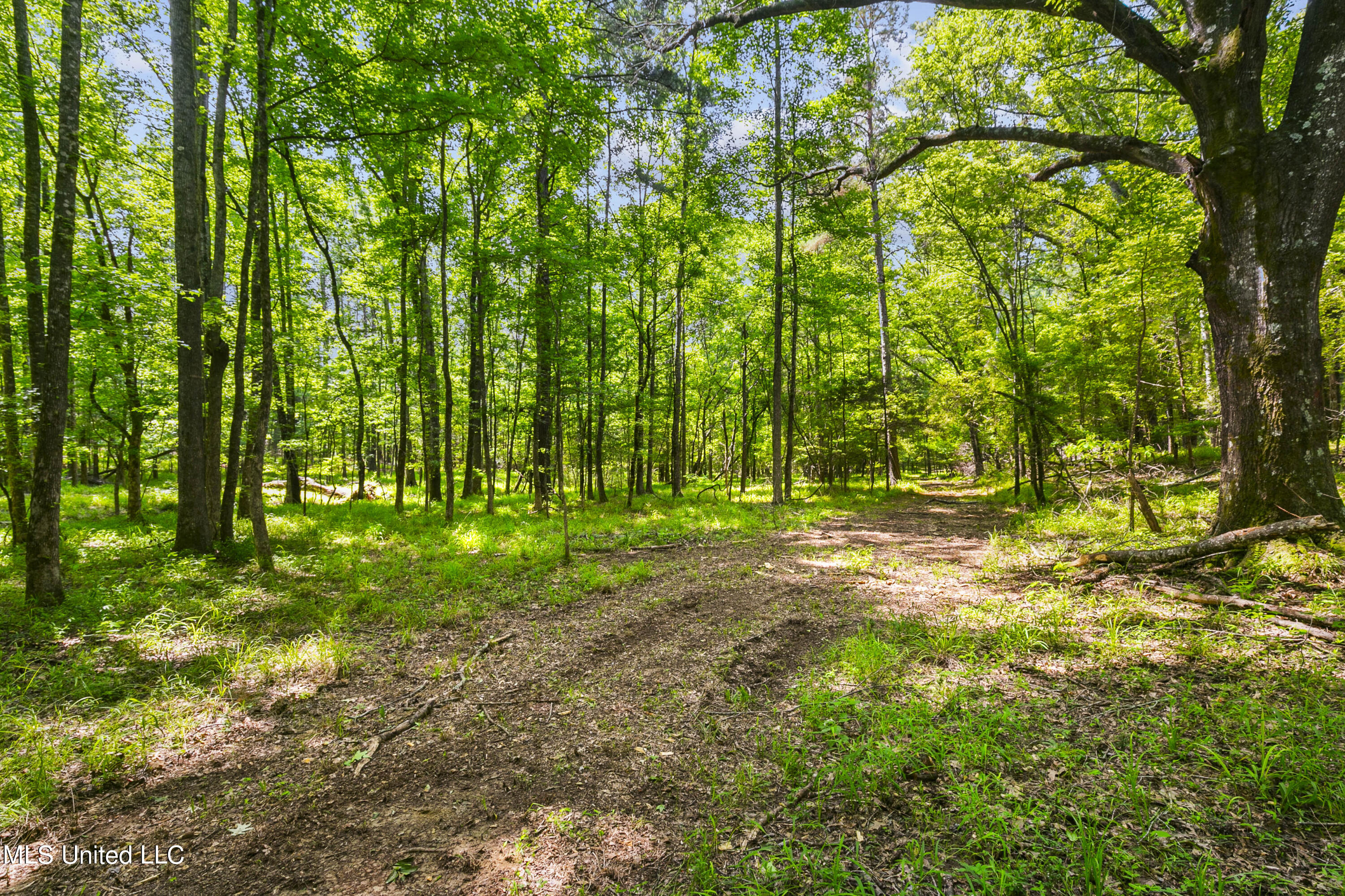 Spring Road Flora, MS 39071 - Photo 23 of 44 Spring Rd-22