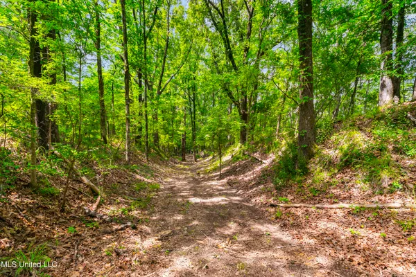 $1,210,000 | Spring Road, Flora, MS 39071