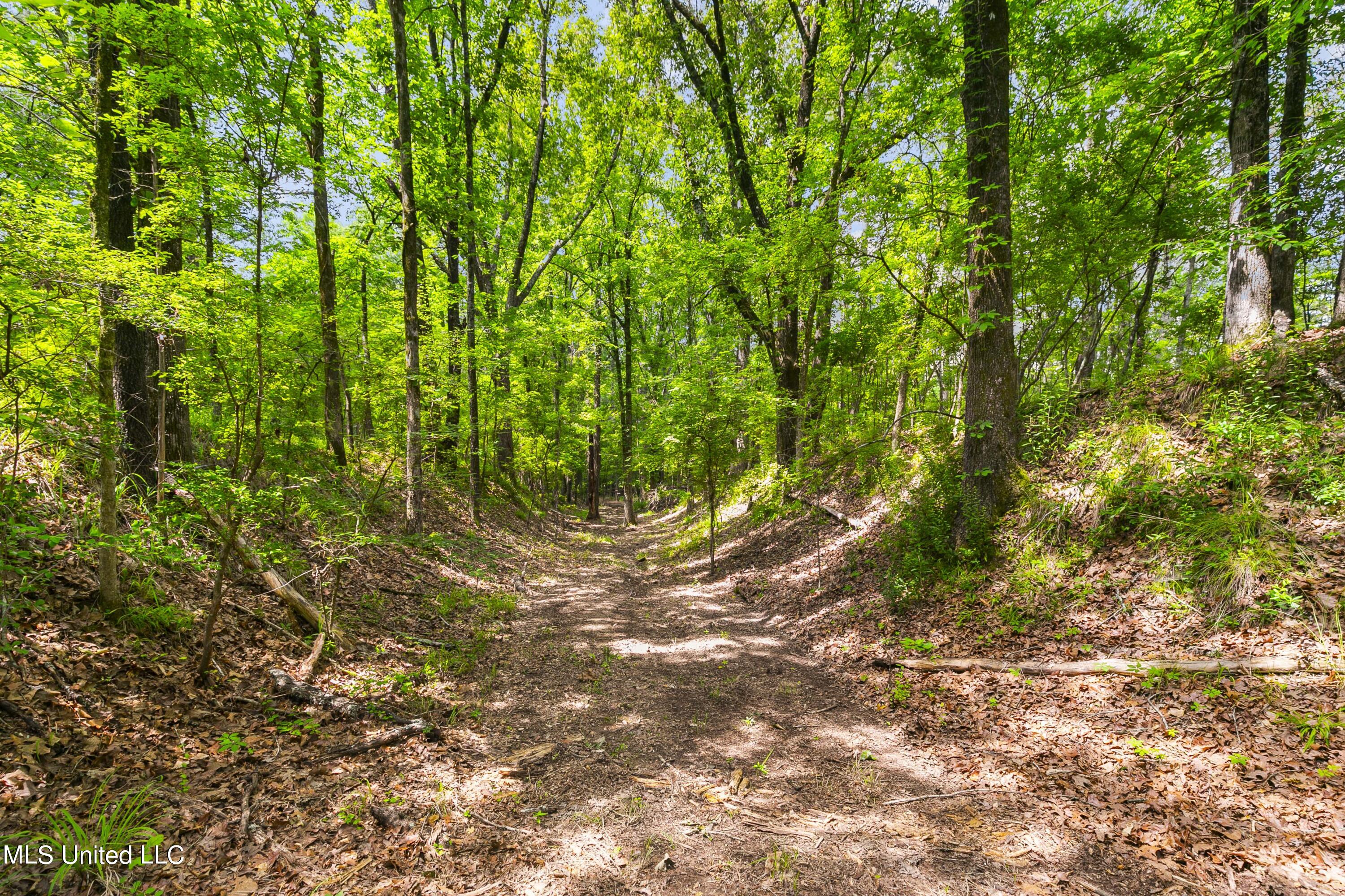 Spring Road Flora, MS 39071 - Photo 24 of 44 Spring Rd-23