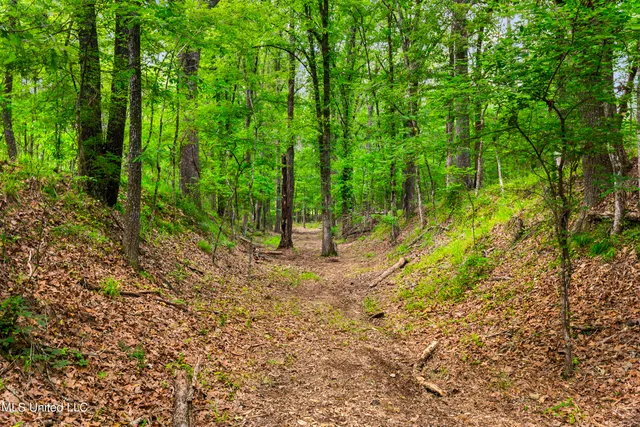 $1,210,000 | Spring Road, Flora, MS 39071